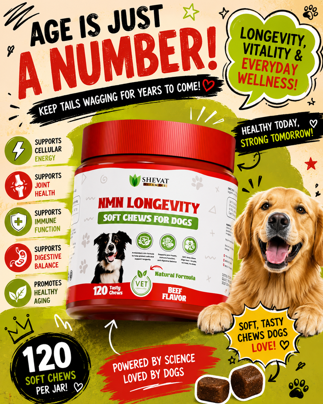NMN Longevity Soft Chews for Dogs: Supporting Healthy Aging, Vitality & Everyday Wellness