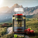 Pure Himalayan Shilajit Capsules 22000mg+ with 50% Fulvic Acid & 85+ Trace Minerals for Energy Performance & Immune Support - Organic Shilajit for Men & Women - Non-GMO Made in The USA - 90 Capsules