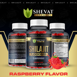 shevat vitamins Shilajit gummies supplement