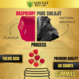 shevat vitamins Shilajit gummies supplement