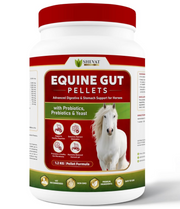 Equine Gut Pellets for Horses – Advanced Digestive & Microbiome Support with Probiotics, Prebiotics, Collagen & L-Glutamine | Premium Non-GMO Horse Gut Supplement | 1.2 kg