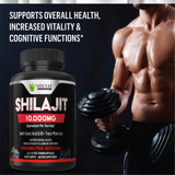 Shevat Vitamins Shilajit Extract 10,000mg